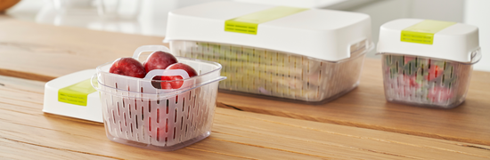 Box dinamico FRESH