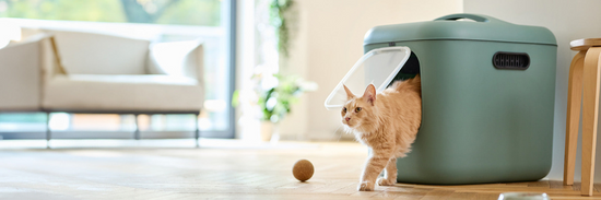 Artikel für Tiere