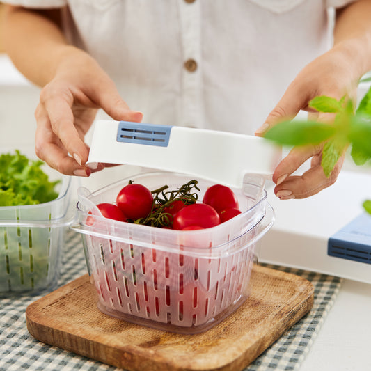 Set sistema filtro FRESH da 12 pezzi