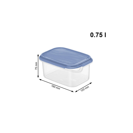 12er Set Kühlschrankdosen RONDO