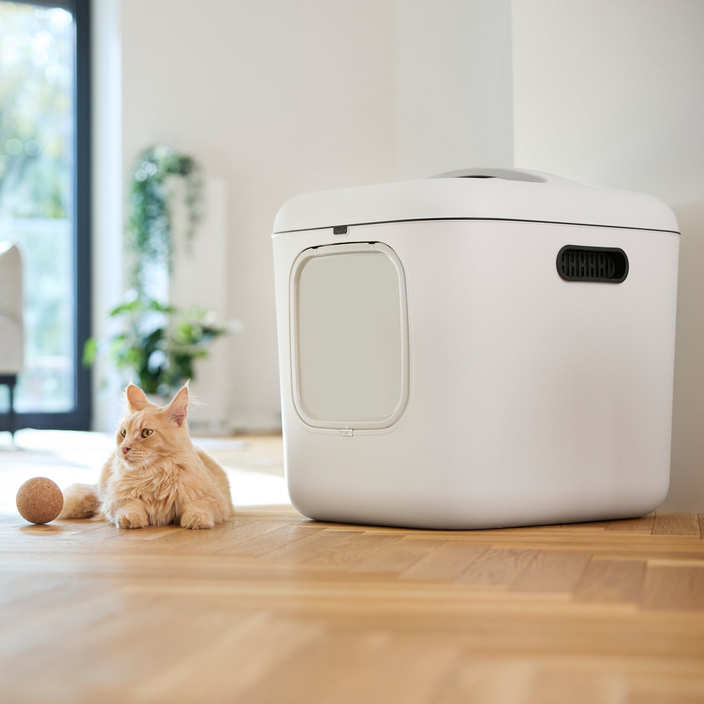 Katzentoilette Biala XL