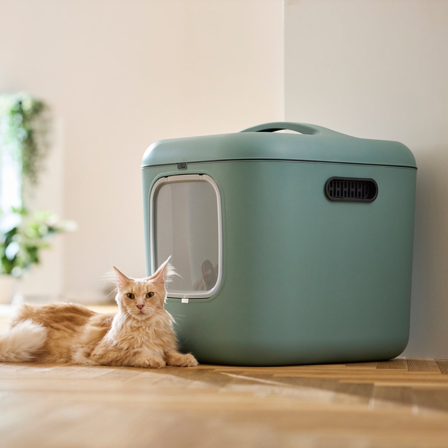 Katzentoilette Biala XL