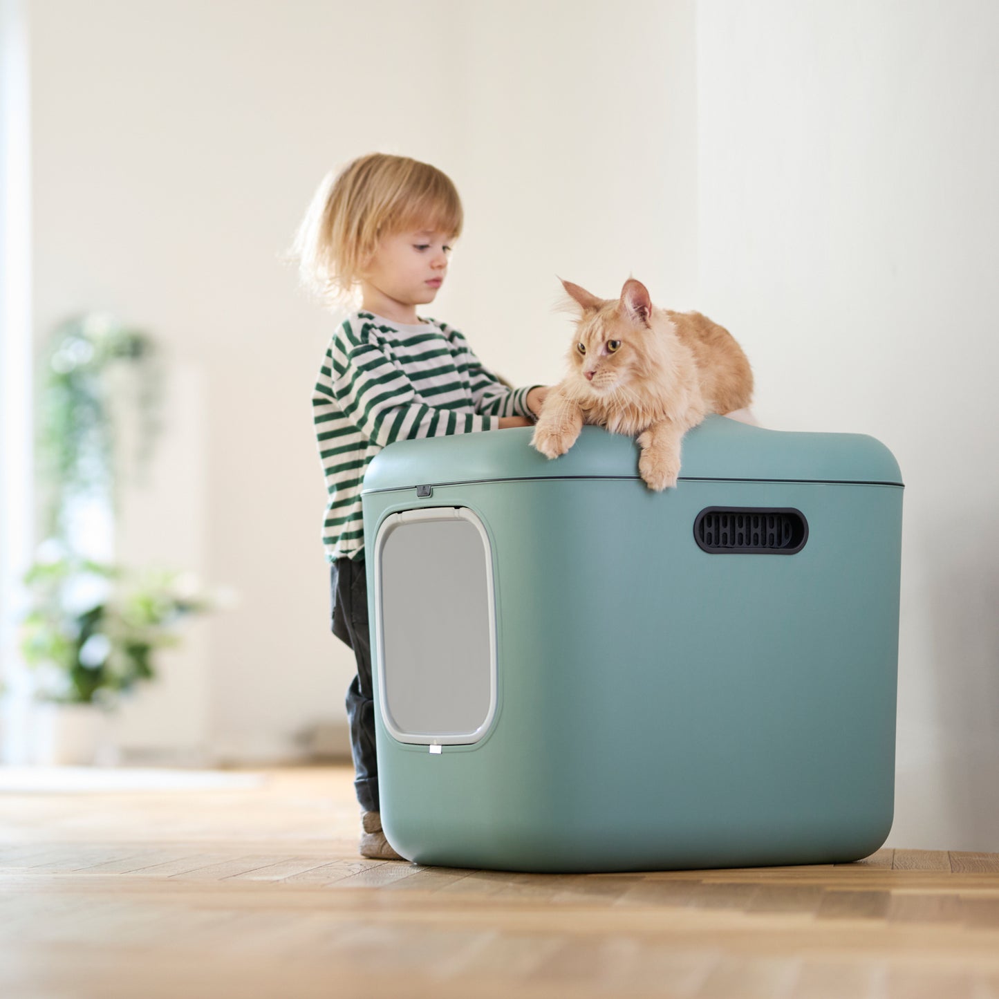 Katzentoilette Biala XL