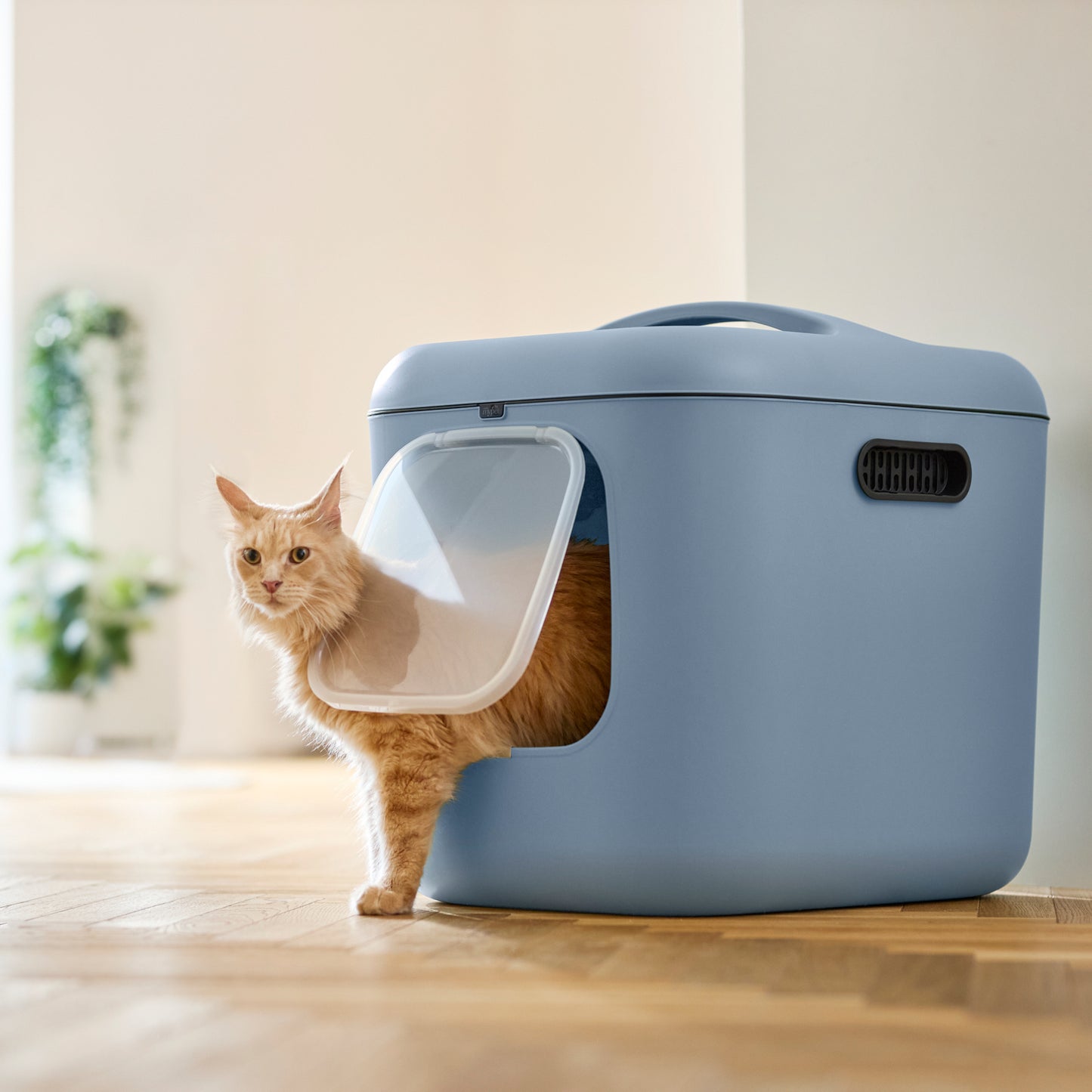 Katzentoilette Biala XL