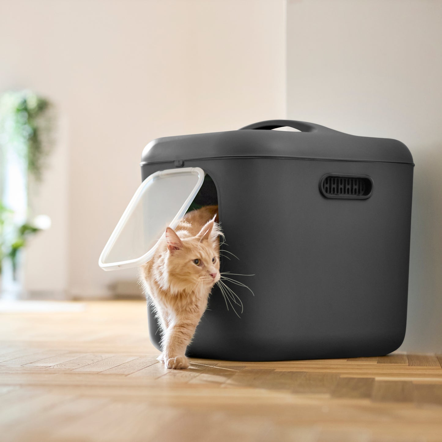 Katzentoilette Biala XL