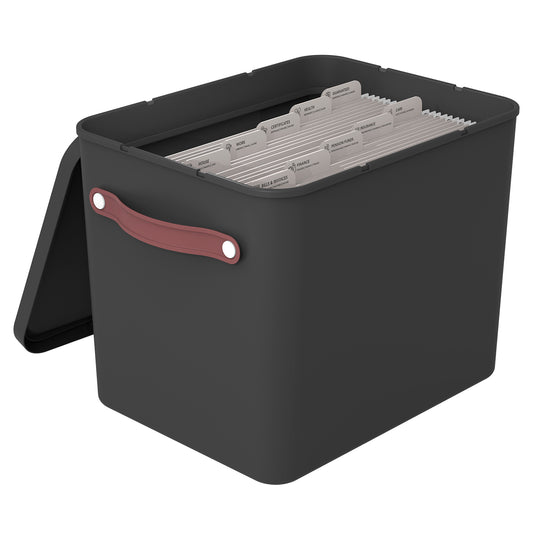 Document organiser MY PAPER Plus archive box