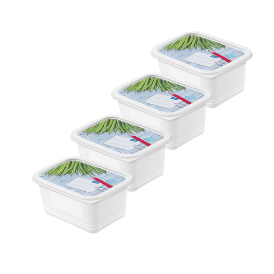 Set of 4 pcs DOMINO freezer food container 0.75 l