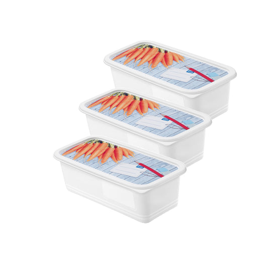 Set of 3 pcs DOMINO 1.2 l freezer food container
