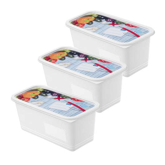 Set of 3 pcs DOMINO 1.5 l freezer food container