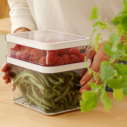 Set 2 pz Contenitore organizer per frigorifero CAUMA